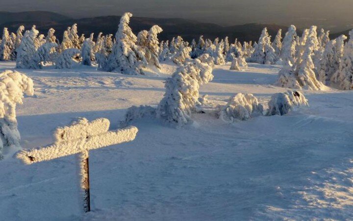 Wintersportler gute bedingung