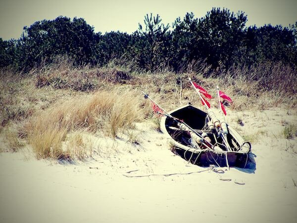 Fußball-EM auf Usedom mit Möwen-Orakel