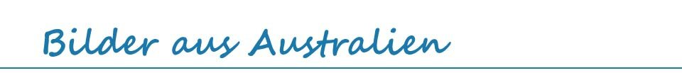 Bilder aus Australien von J�rg Baldin im Reiseblog BREITENGRAD53.de