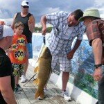 Karpfen aus dem Winnipeg See bei Gimli