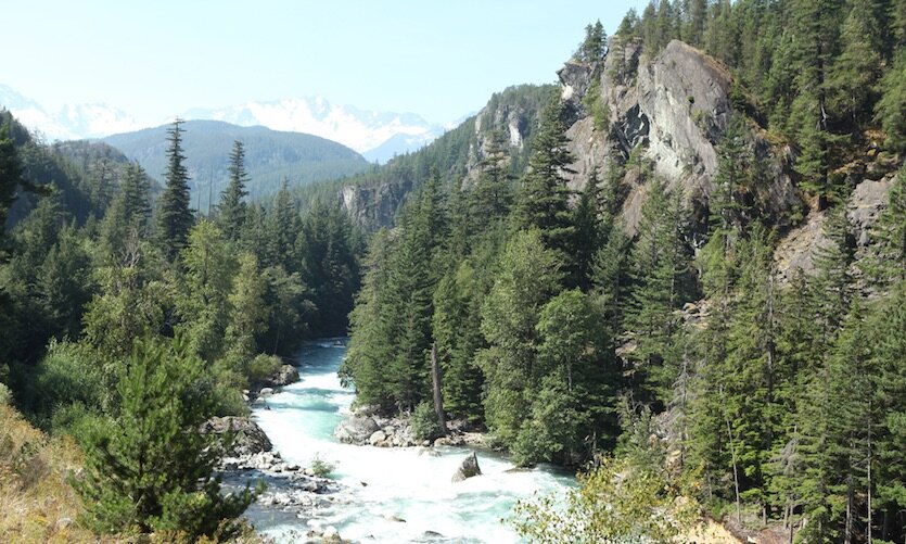 Landschaftsimpression am Whistler Sea.