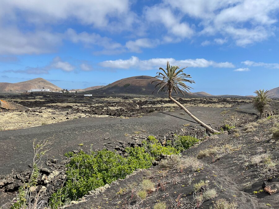 World Voyager Lanzarote-09