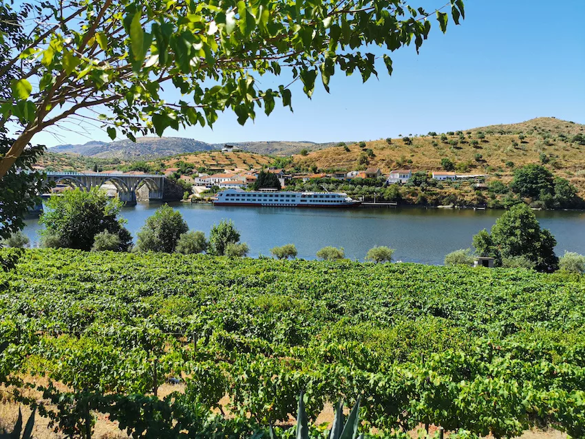 Nicko Cruises bietet auf dem Douro in Portugal Flusskreuzfahrten an. Start ist Porto. (Foto: J&ouml;rg Baldin)