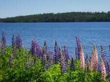 Urlaub in Schweden - Wilfried Geiselhart-5