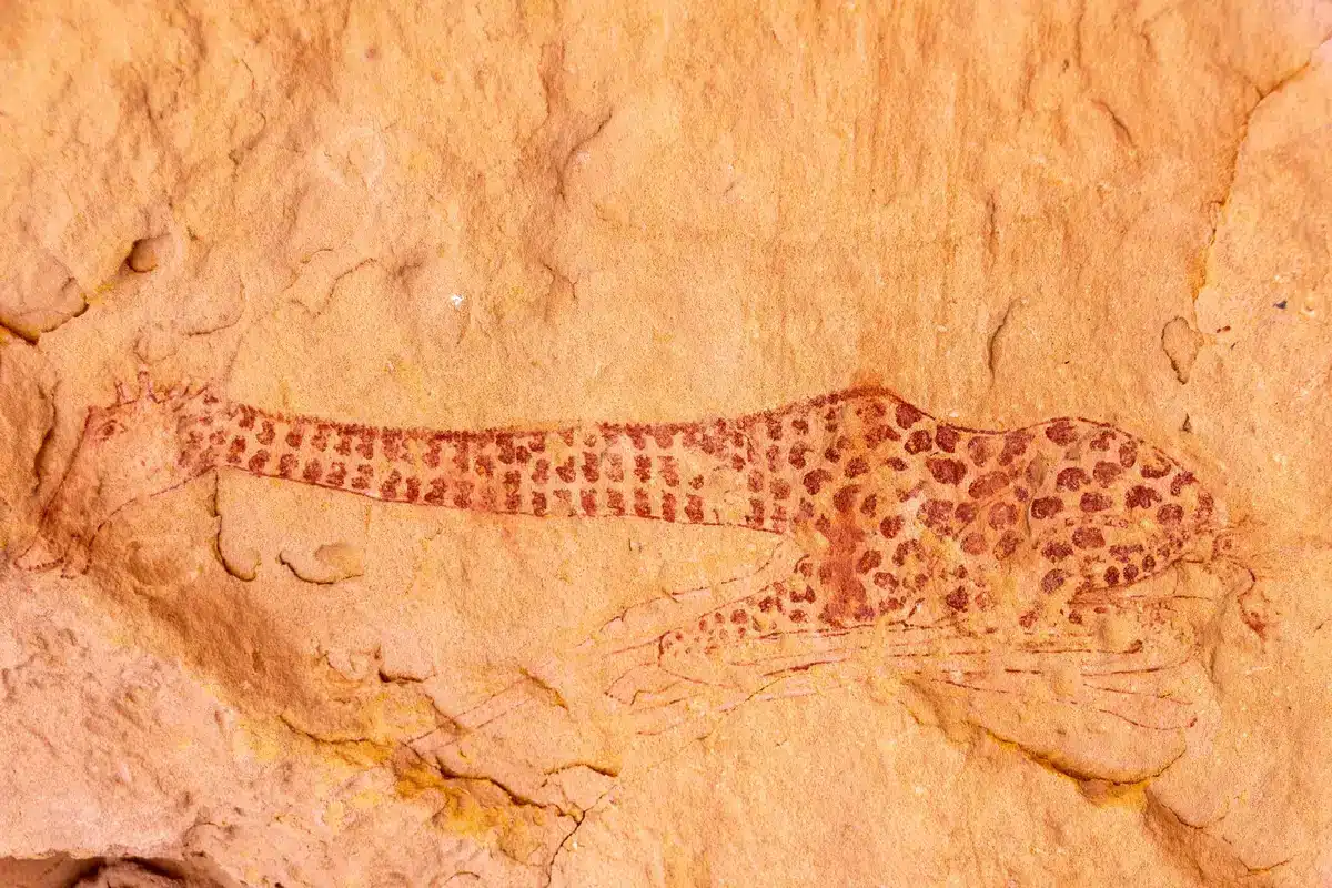 In Stein geritzte Petroglyphen mit figürlichen und geometrischen Mustern
