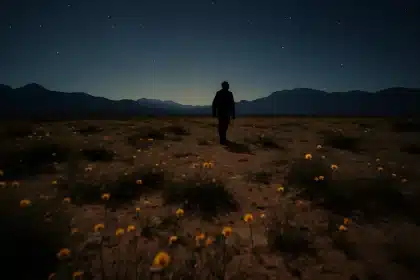 Abgelegene Ecke der Atacama in Chile bietet Superblüten, Pinguine und süßen Sonnenwein