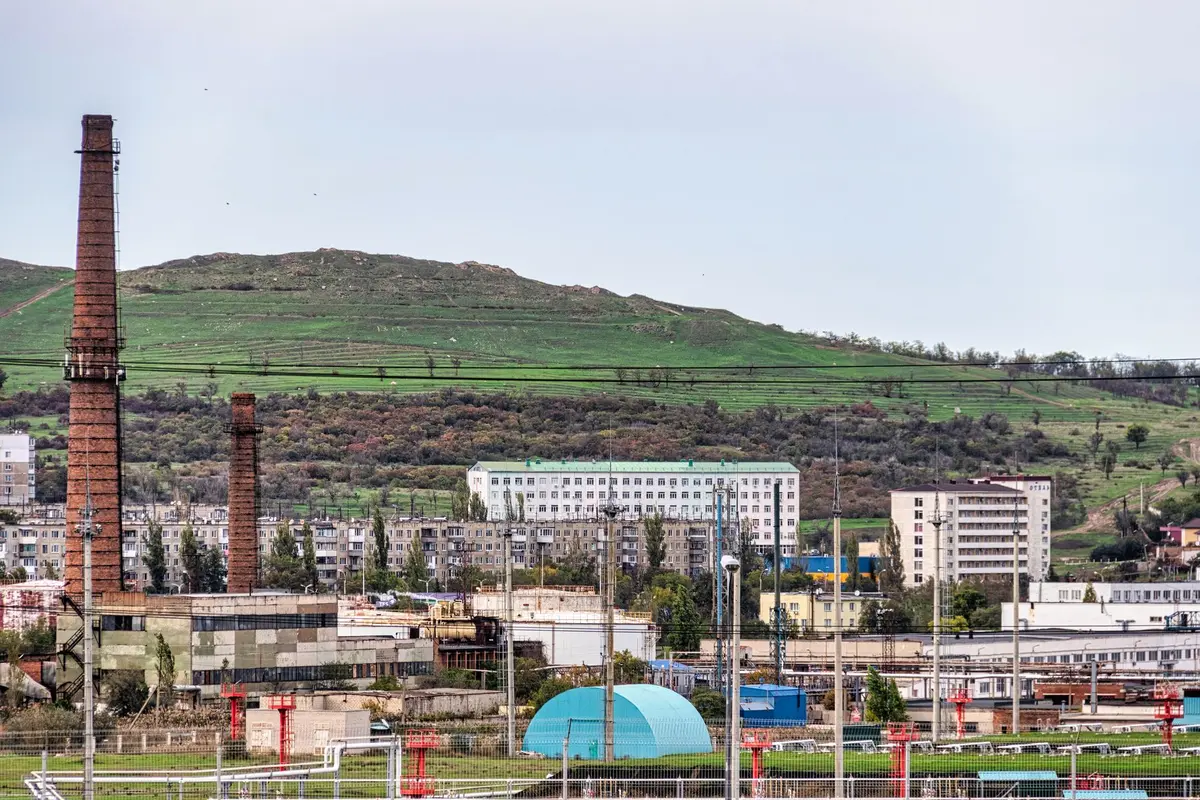 Grüne Abraumhalde mit Birken und Eichen in der ehemaligen Kohlebergbauregion