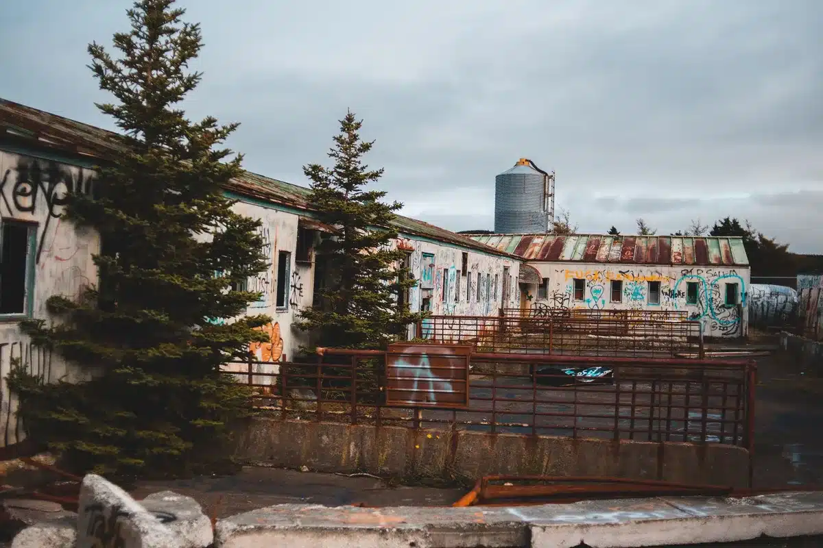 Verfallenes Industriegebäude mit Graffiti und überwucherter Fassade