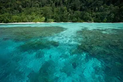 Tropische Insel mit Sandstrand, Wald und klarem türkisblauem Meer