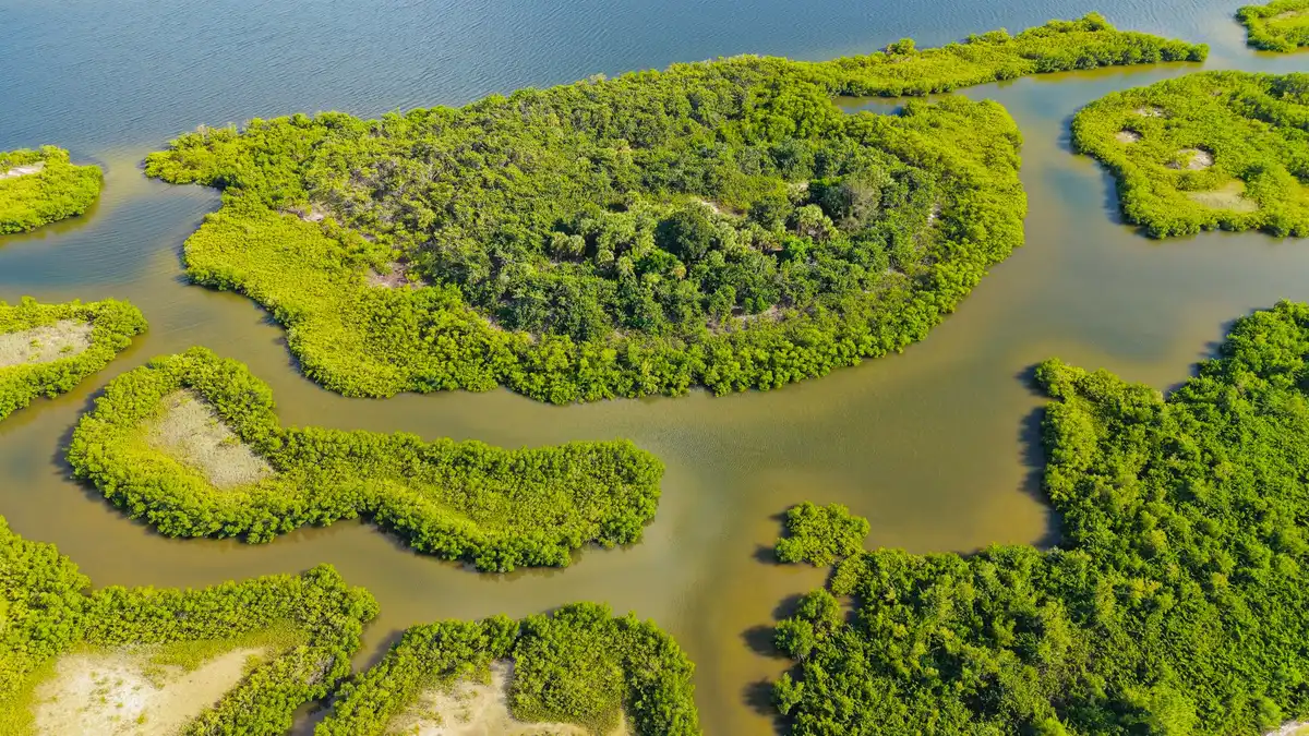 Luftaufnahme einer K&uuml;stenlandschaft mit Inseln und Mangrovenbuchten