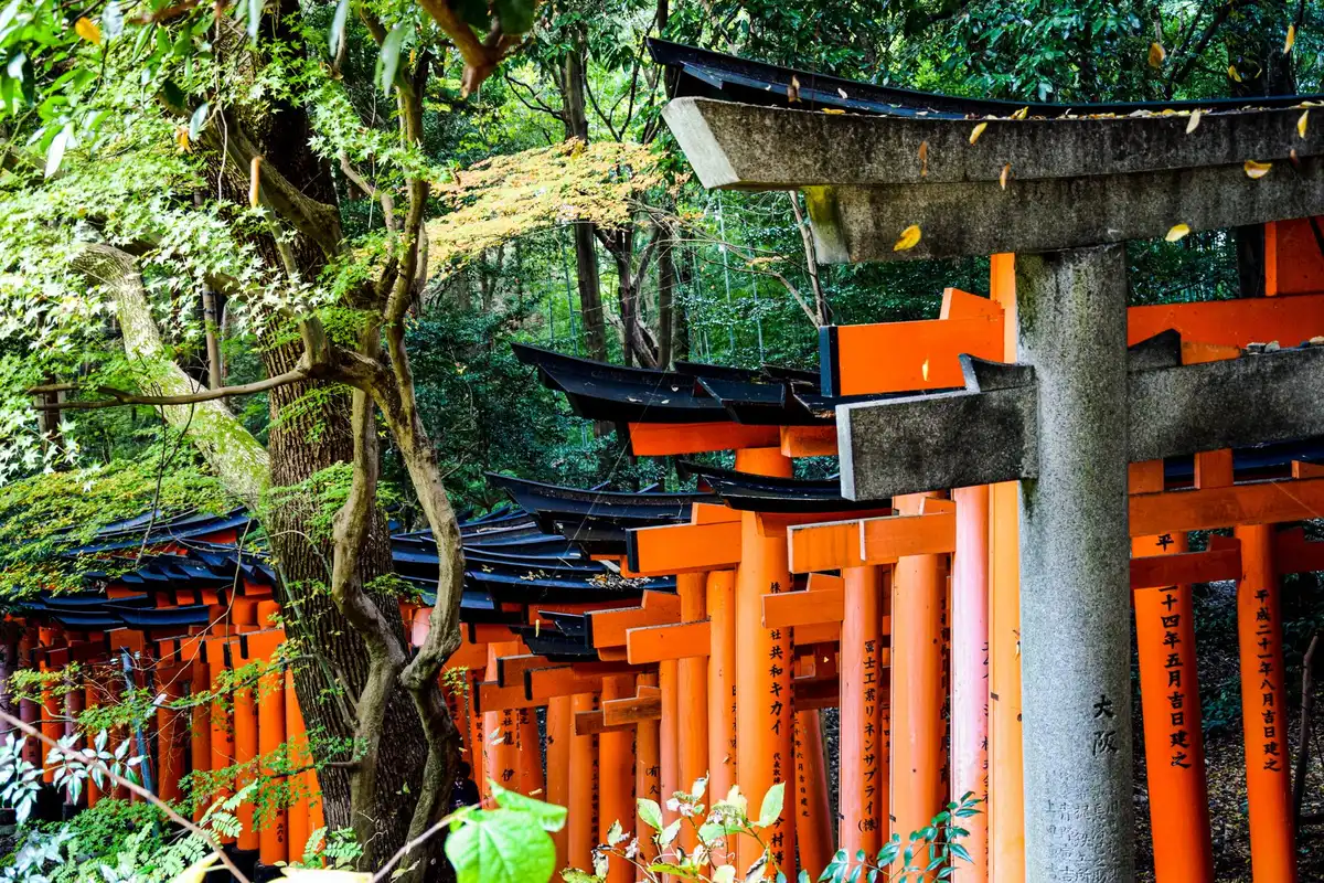 Tempel und Torii-Tore in Kyoto mit Bambuswald