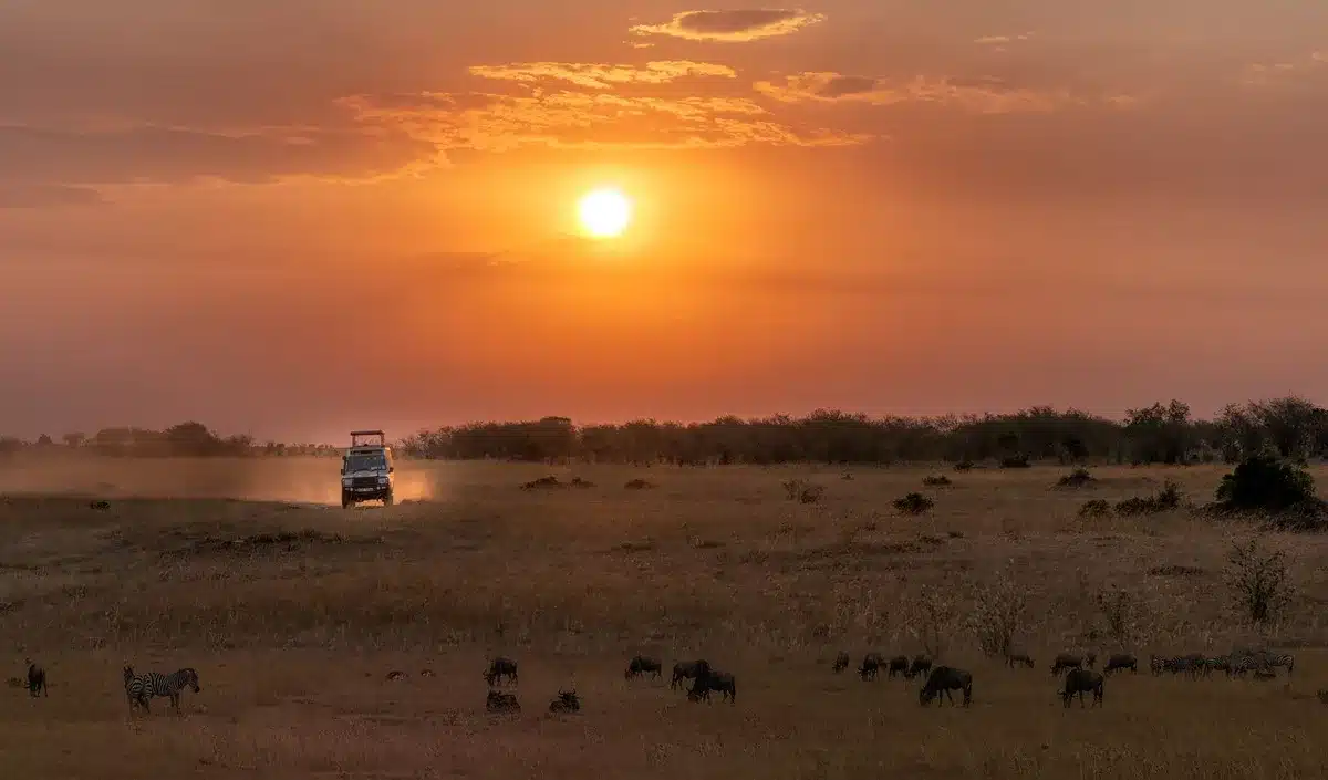 Jeep-Safari mit Wildbeobachtung in afrikanischer Savanne