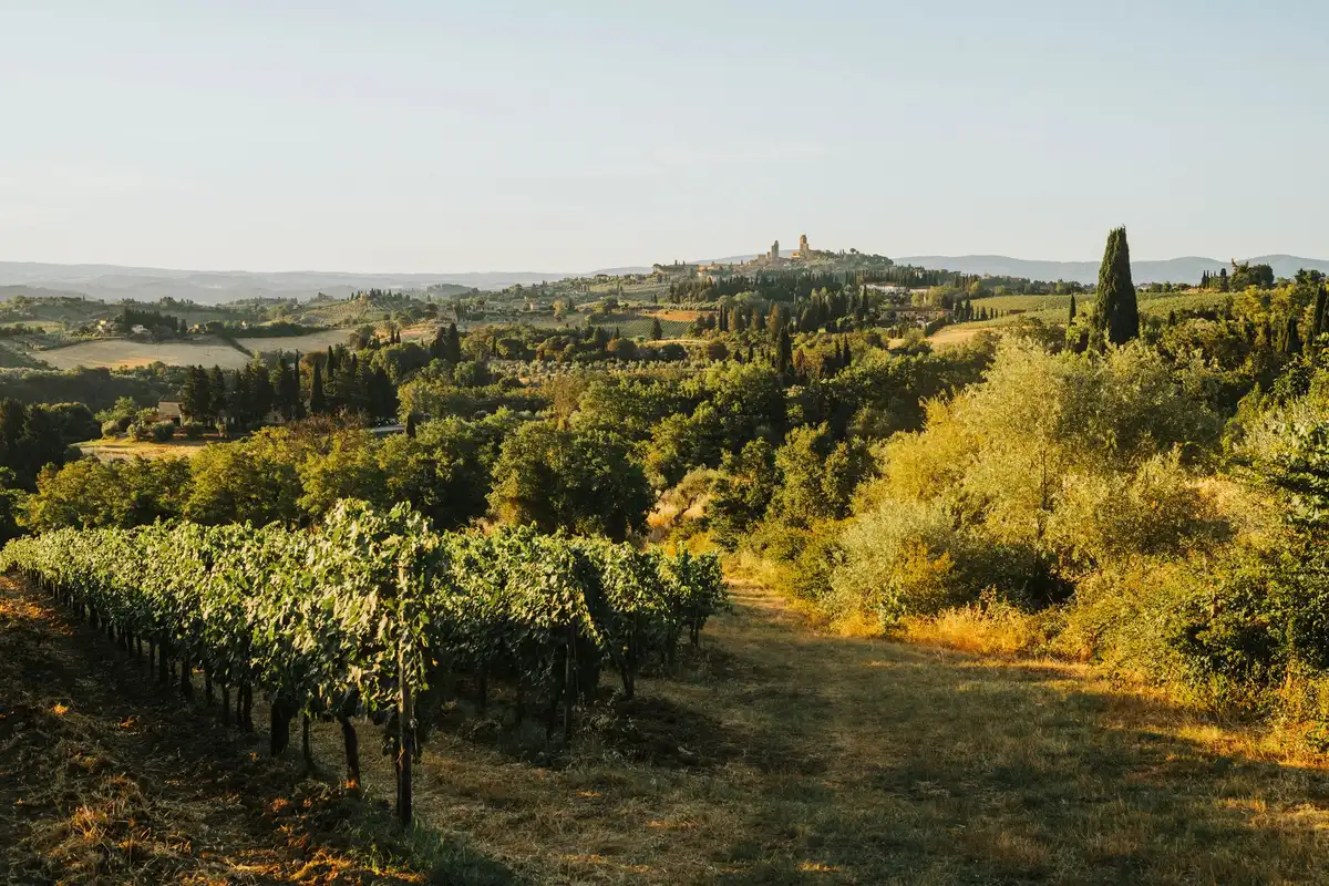 Sanfte Hügellandschaft der Toskana mit Weinreben und traditionellen Dörfern