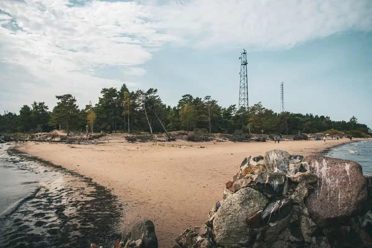 Feiner Sandstrand an der lettischen Ostseek&uuml;ste mit Wald im Hintergrund