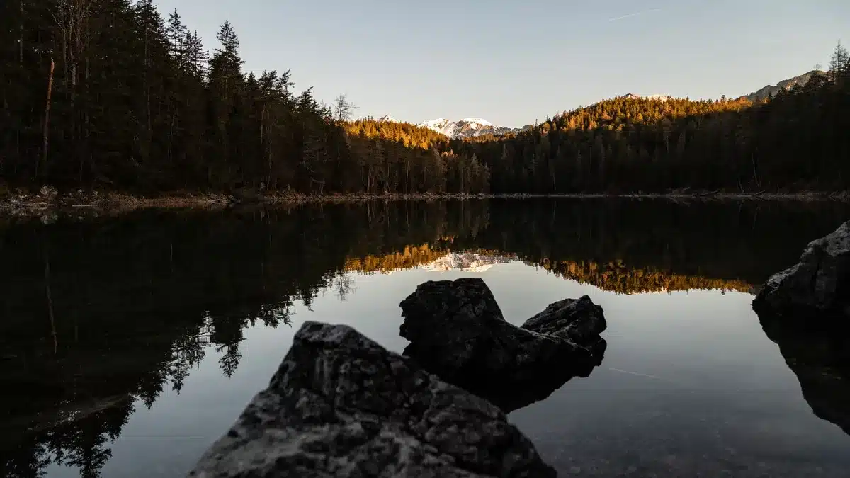 Stiller See umgeben von dichten Wäldern in der litauischen Natur