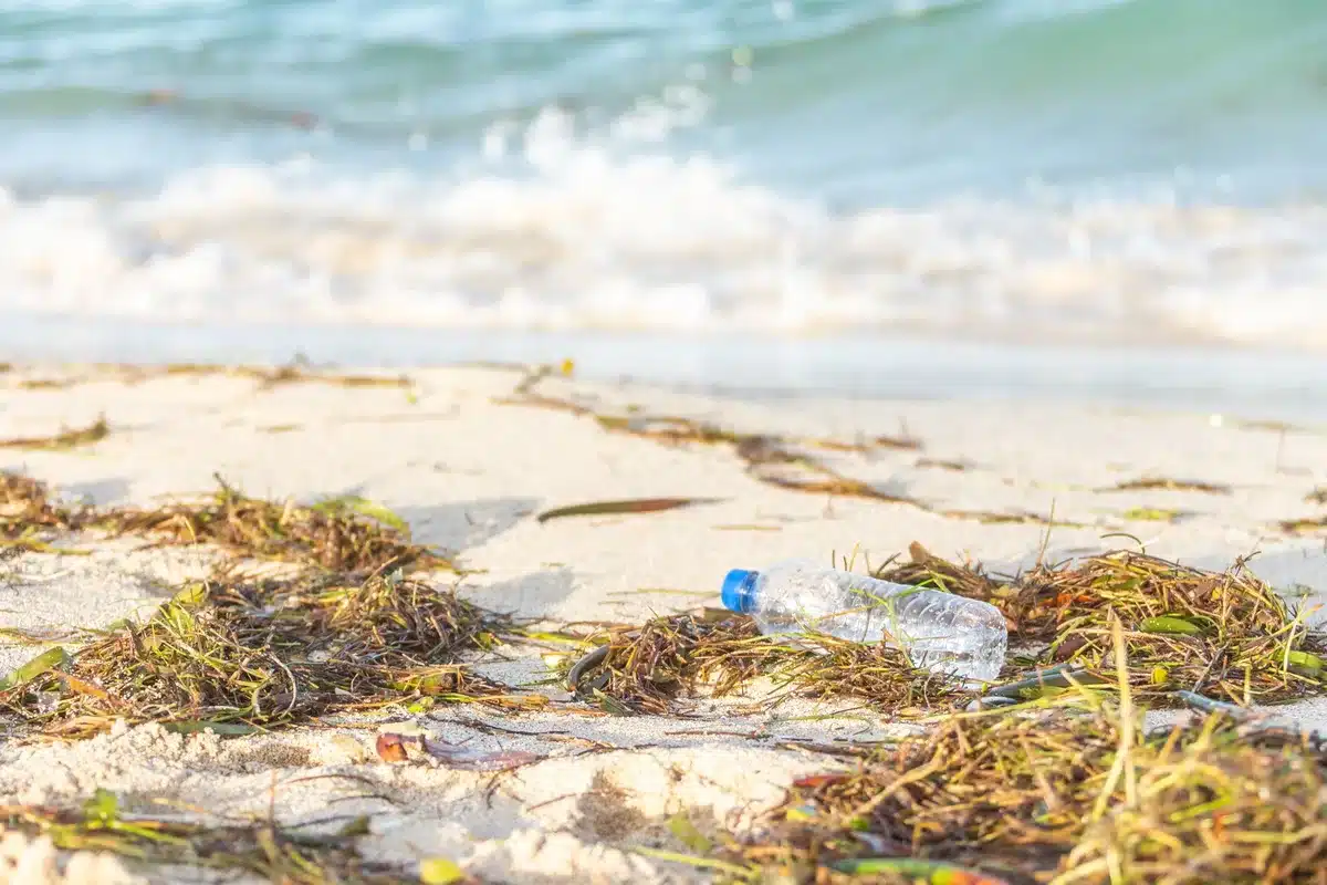 Geschützter Strand mit Maßnahmen gegen angeschwemmte Algenmassen