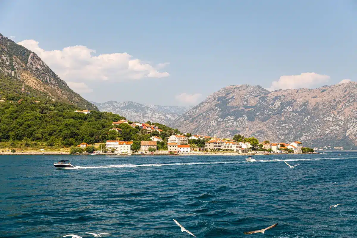 Bucht von Kotor mit steilen Felswänden und mediterranem Fjord