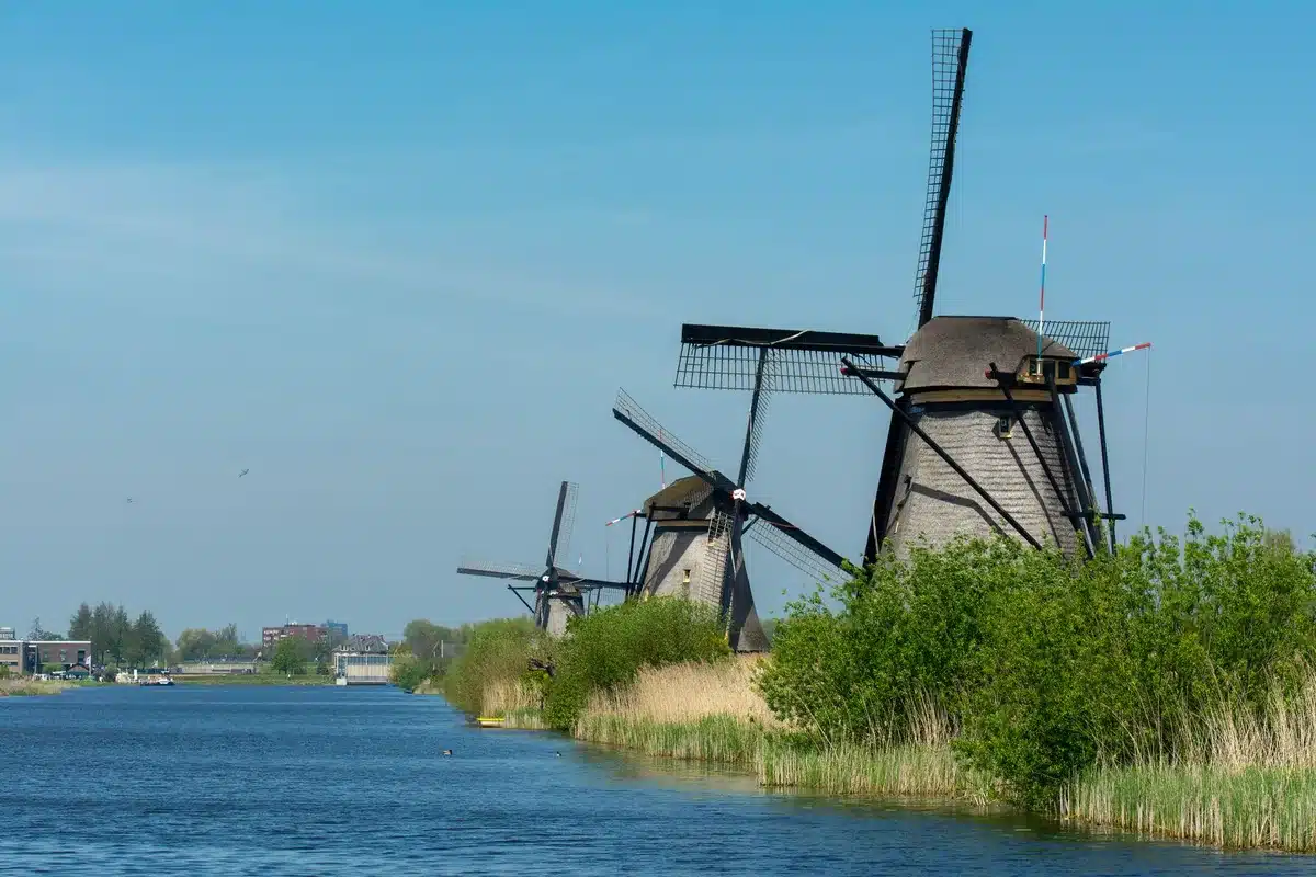 Historische Windmühle in ländlicher niederländischer Landschaft mit Wiesen