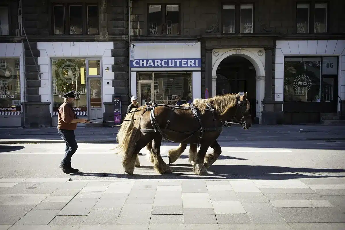 Copenhagen City Card und Online-Tickets auf einem Tisch