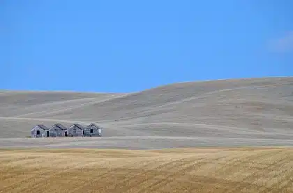 Grüne Hügellandschaft der Toskana mit Zypressen und einem fernen Dorf im Tal