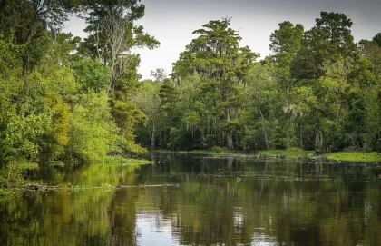 Skiff in den Everglades bei flachem Wasser und Grasland, entfernte Bäume im Hintergrund