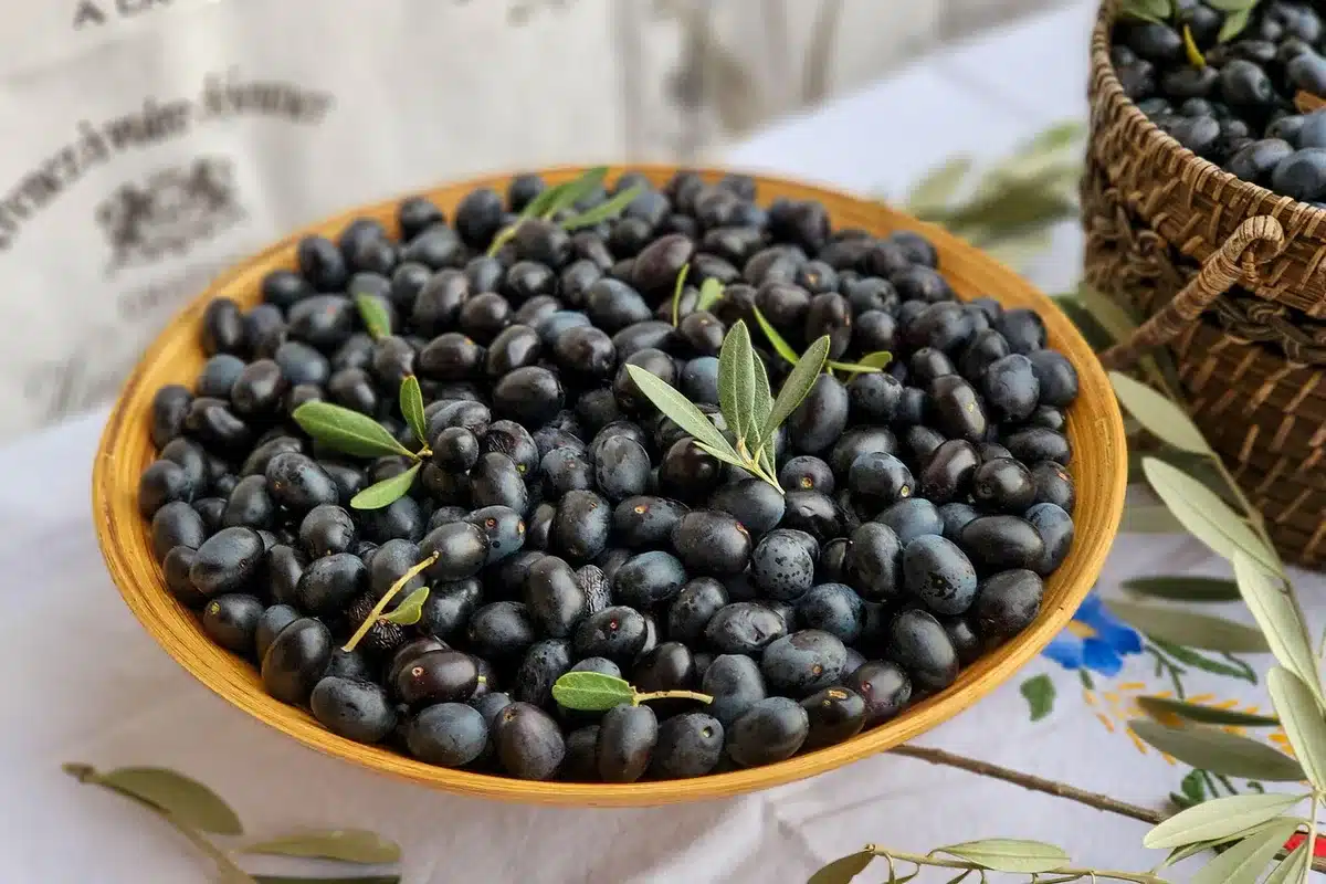 Hände pflücken reife Oliven während der Ernte in einem mediterranen Olivenhain