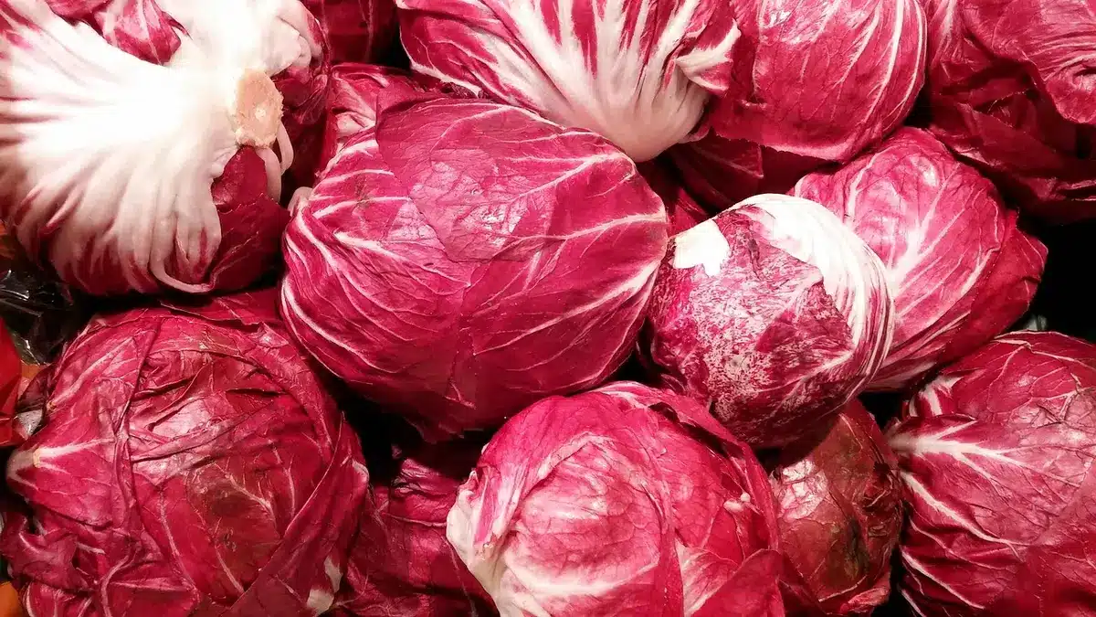 Kochkurs an Bord mit regionalen Zutaten vom lokalen Markt