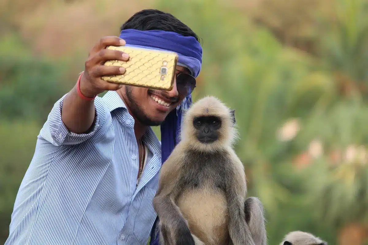 Tourist mit Smartphone in unsicherem Abstand zu einem Wildtier in einem Nationalpark
