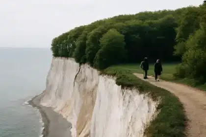 Kreideklippen in Dänemark entdecken – praktische Informationen und Tipps zu Møns Klint und Stevns Klint