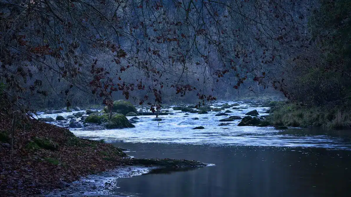 Aussichtspunkt über eine tiefe, bewaldete Schlucht mit Flusslauf