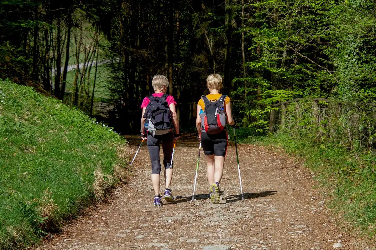 Wanderer auf Waldpfad in schwedischer Naturlandschaft