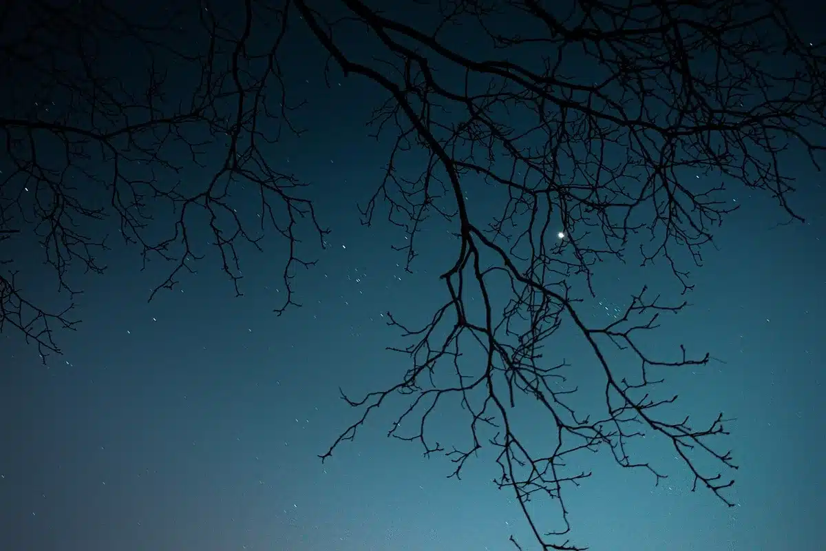 Beobachter schaut auf einen klaren Sternenhimmel über einer dunklen Berglandschaft mit Teleskop