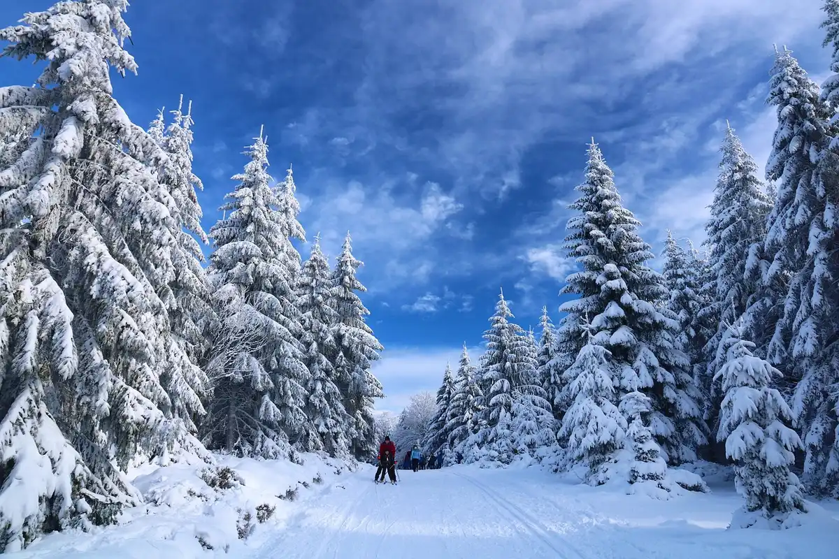 Menschen beim Wintersport und Spaziergang in verschneiter Landschaft