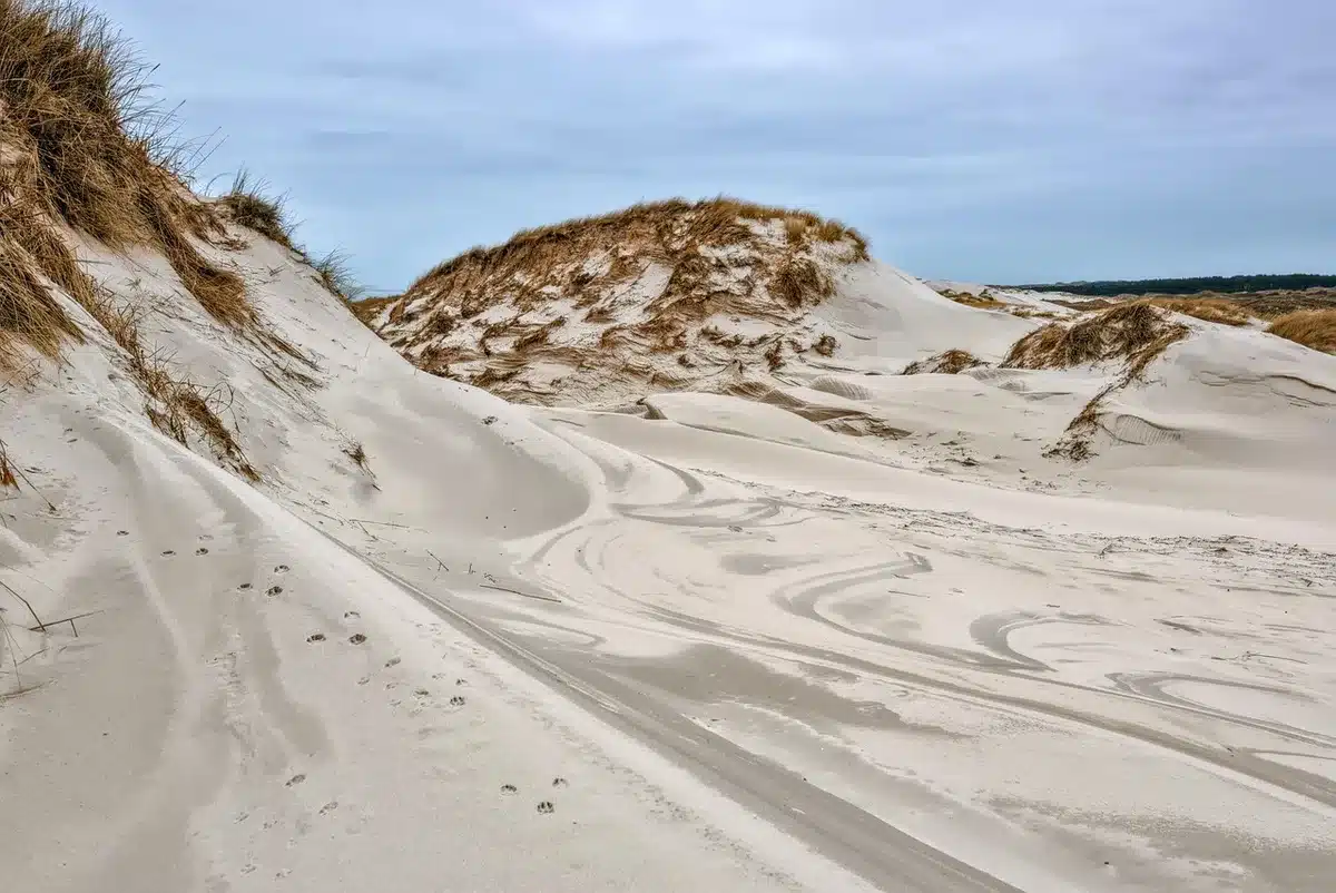 Weitläufiger Sandstrand von Porto Santo mit ruhiger Küste