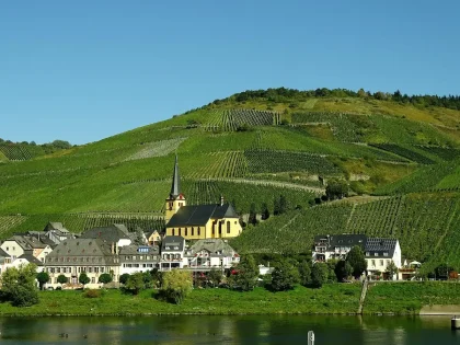 Terrassierte Weinberge am Flussufer bei Abendlicht, keine Personen erkennbar