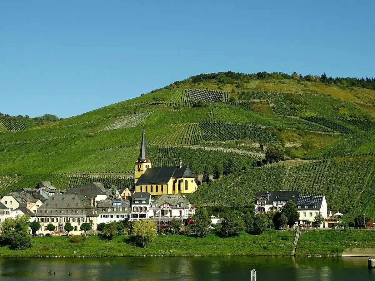 Terrassierte Weinberge am Flussufer bei Abendlicht, keine Personen erkennbar