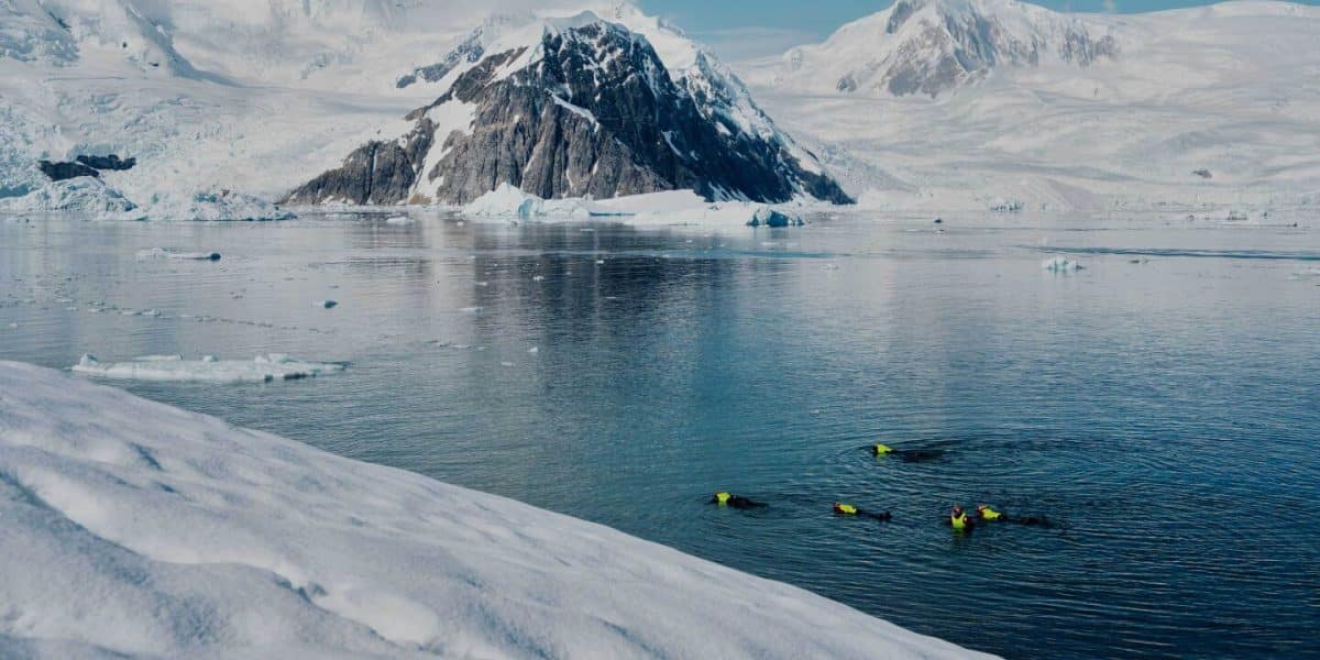 Snorkelers in neon life jackets swim in the icy ocean, with snow-covered Antarctic mountains in the background.