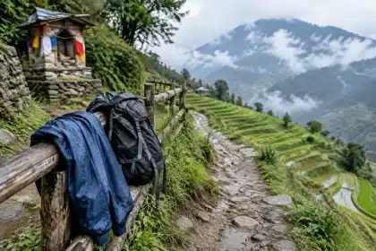 Auf 700 Meilen durch Japan: Tempel- und Genussroute verbindet Wandern mit Ramen und Kaiseki