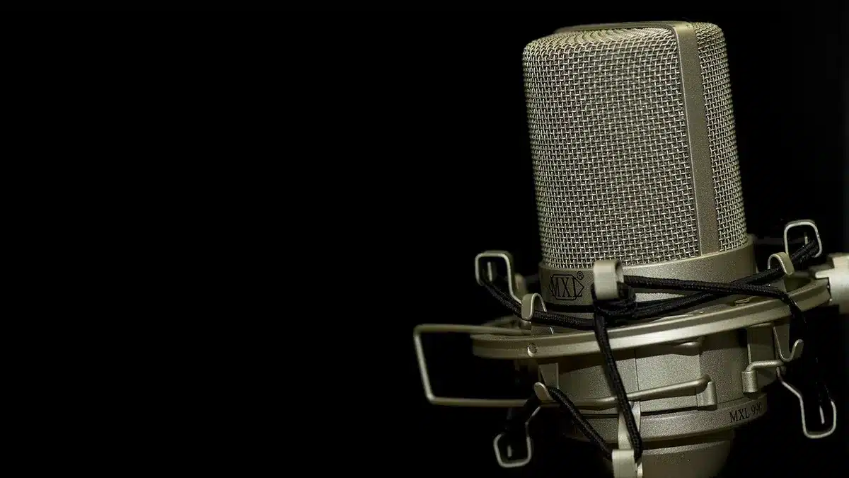 Mikrofon im Freien mit Seehintergrund, Symbol für die Podcast-Episode