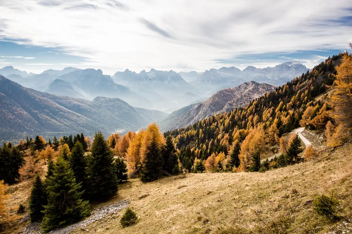 Freibergsee mit herbstlichen Bäumen und Bergblick