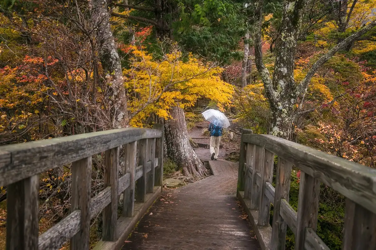 Wanderer mit Rucksäcken an einem herbstlichen Seeufer und bunter Baumkulisse