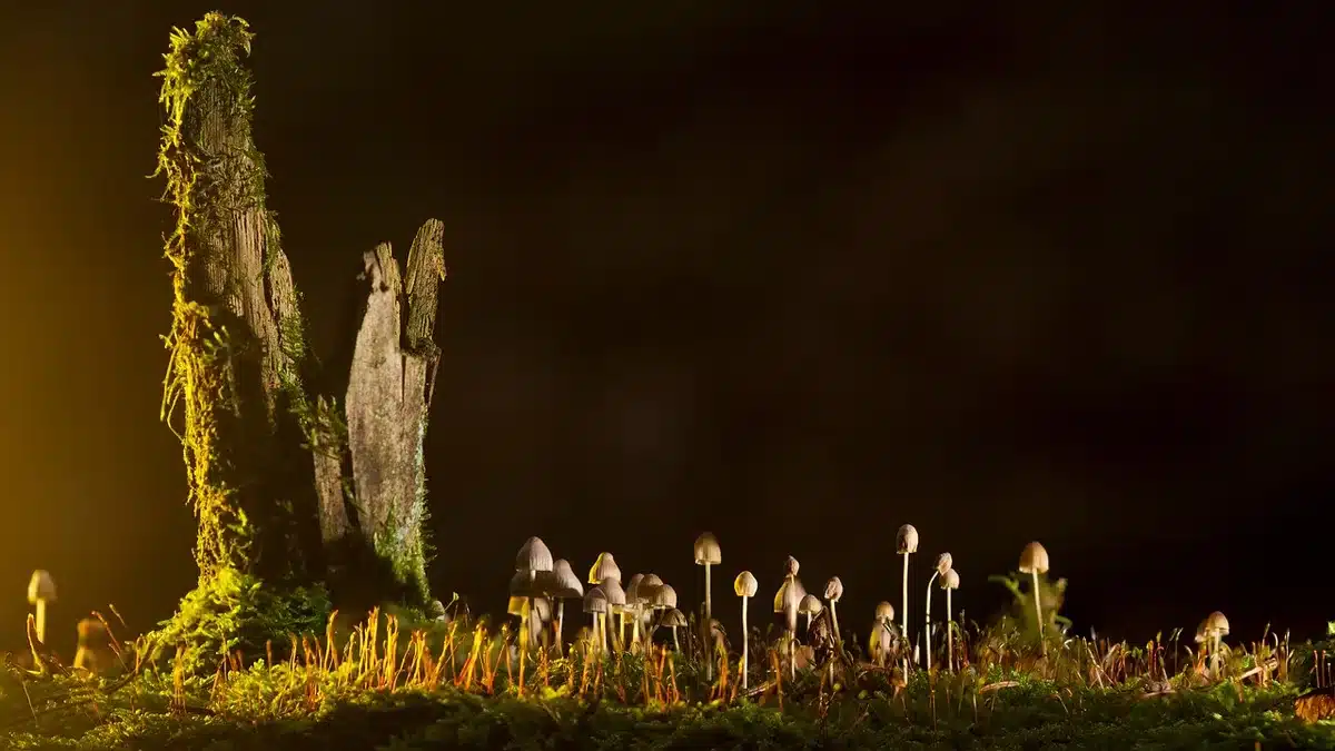 Kleine Besuchergruppe vor dem Kolosseum bei Tageslicht
