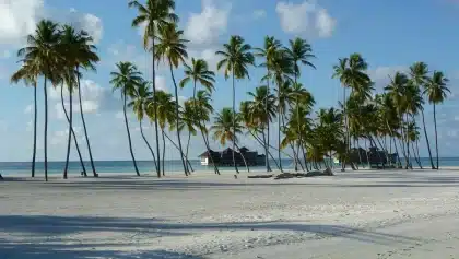Palmengesäumter Sandweg über türkisfarbenes Lagunenwasser und Hausriff im Hintergrund