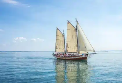 Ufer mit Sandstrand, Grasbüscheln, leerer Bank und Segelbooten auf einem großen See