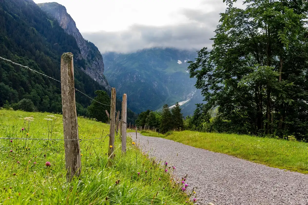 Grüner Fjordweg in Norwegen mit Bergen und ruhigem Wasser