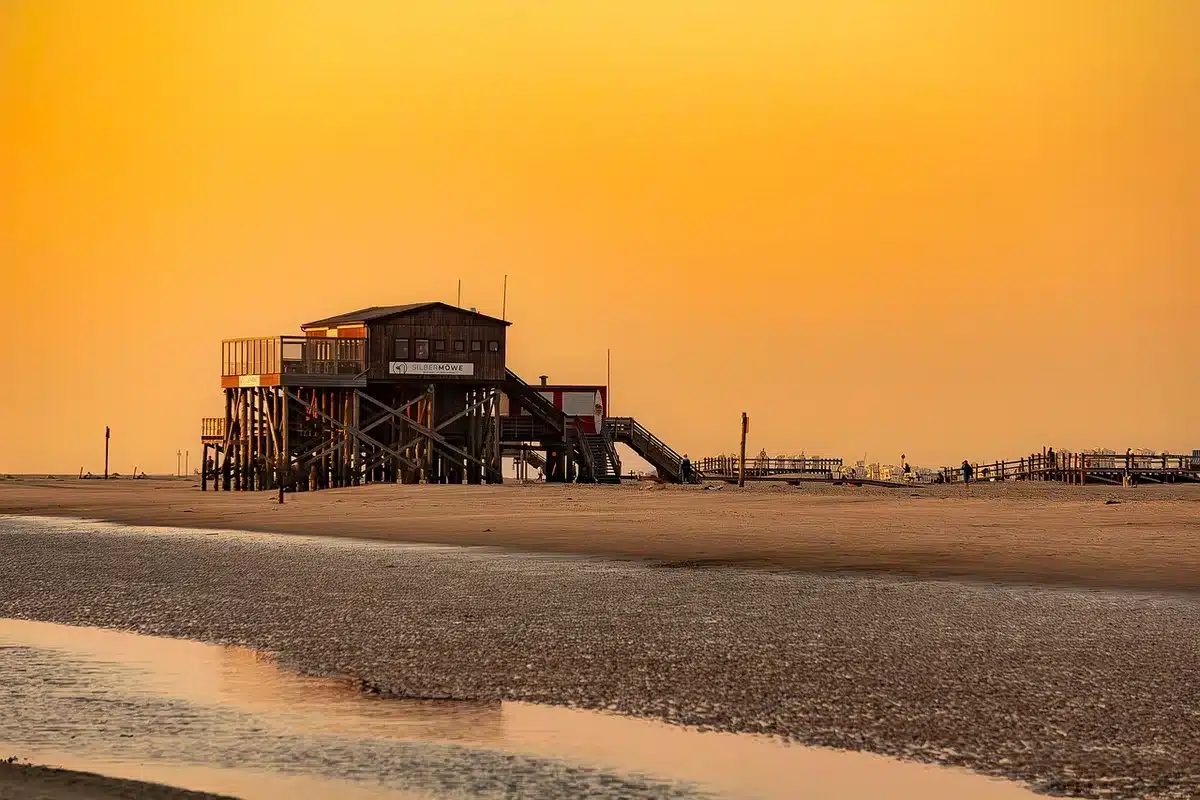 Deich mit Blick über das Wattenmeer und naturbelassene Strandabschnitte