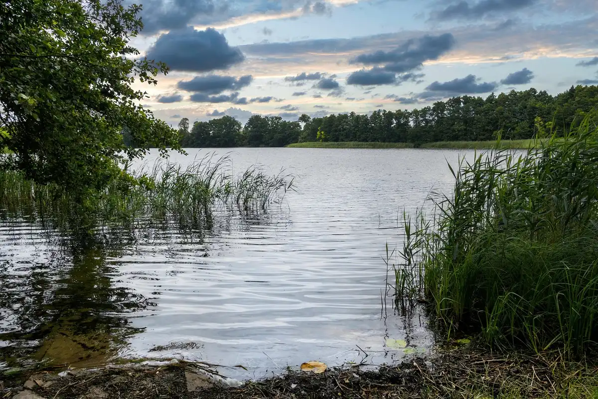 Wiederbegrüntes Tagebaugelände mit See und Spaziergängern