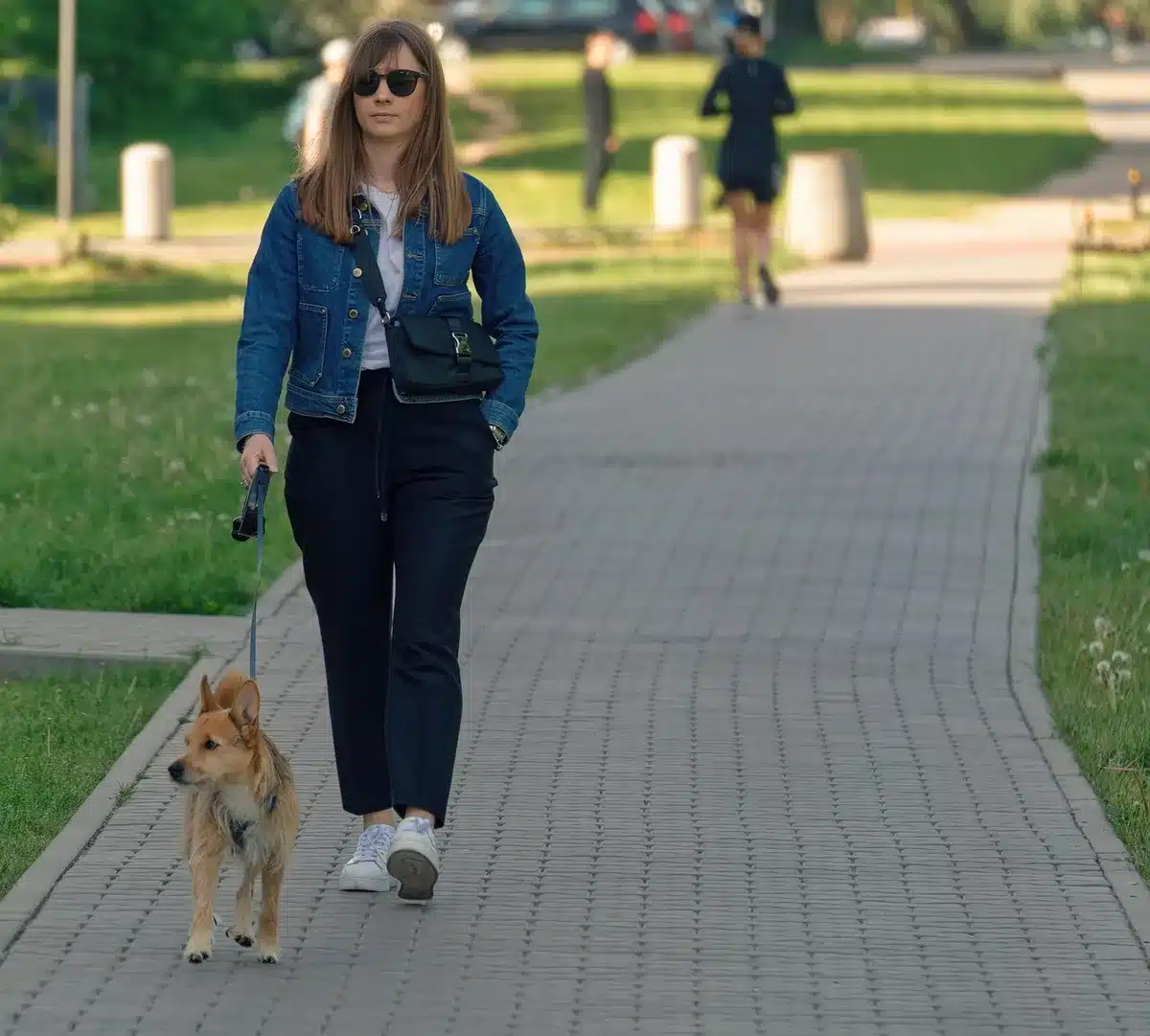 Hund läuft durch enge Gasse auf einer griechischen Insel mit weißen Häusern