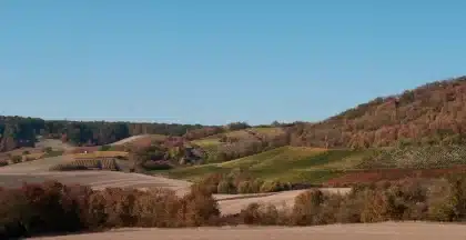 Rebenhügel der Serra Gaucha mit Spaziergängern zwischen den Reihen