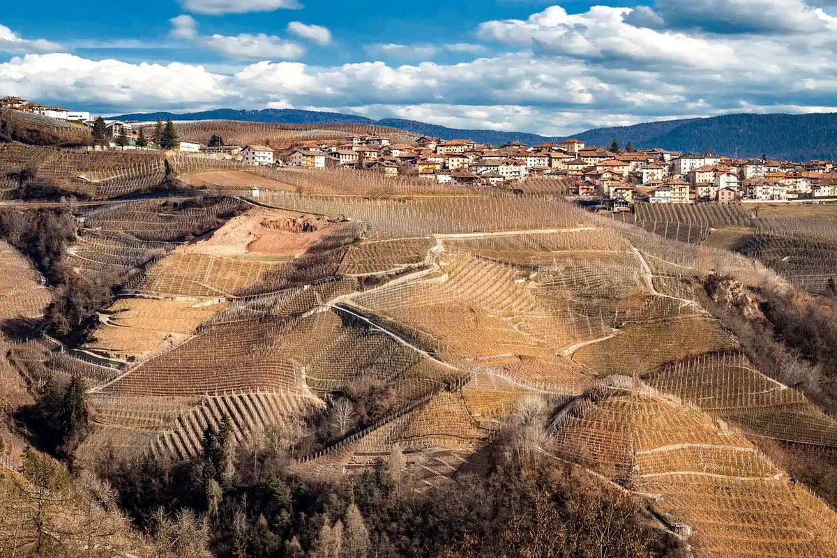Sonne über trockenen Weinbergen in Osoyoos